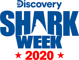 Tips to keep kids safe at the pool, beach or lake; Shark Week 2020 Lineup Seat42f