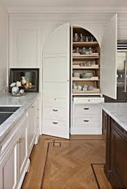 Hidden Pantry Transitional Kitchen Mcgill Design Group Home Kitchens Kitchen Design Kitchen Interior