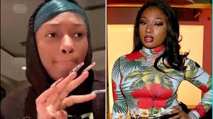 Megan thee stallion is quite the looker and her bodacious bosoms are proof of that. Megan Thee Snitch Rapper Megan Thee Stallion Now Being Compared To 6ix9ine After Snitching On Tory Lanez All About Laughs