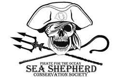 The resolution of png image is 591x591 and classified to german shepherd ,sea ,sea turtle. 220 Sea Shepherd Ideen Tierschutz Bootfahren Rettet Unsere Erde
