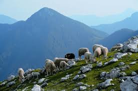 Jezersko Sheeps Montanhas Mapa