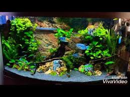 2607 Juwel Vision 180 Update Youtube Aquarium Design Fish Tank Aquarium Fish