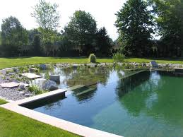 Amazing Natural Swimming Pools Schwimmbad Designs Schwimmbecken Und Schwimmteich