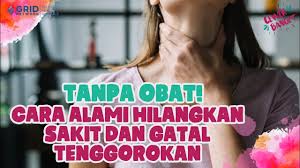 Kamu bisa mencampurkan ¼ atau ½ sendok teh garam dengan secangkir air hangat. Tanpa Obat Ini 5 Cara Alami Hilangkan Tenggorokan Sakit Dan Gatal Youtube