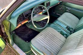 Image result for Golden Fawn 1976 Fury