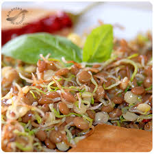 Antes de cocinar, enjuaga las lentejas y deseche las piedras pequeñas, las lentejas malas y otros desechos. Ensalada De Lentejas Germinadas Amantesdelacocina
