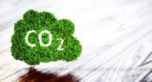Das bundesverfassungsgericht gibt verfassungsbeschwerden recht: Kabinett Gibt Neues Klimaschutzgesetz Zur Landtagsbefassung Frei Ministerium Fur Umwelt Klima Und Energiewirtschaft Baden Wurttemberg