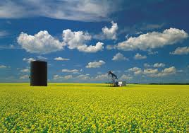 The province of ontario comprises 4 main geographic regions. Interior Lowlands Region North America Britannica
