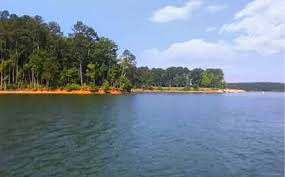 Jax boat rentals is a new and affordable pontoon and fishing boat rental company. Georgia Boat Rental For Fishing Skiing Family Boats In Ga