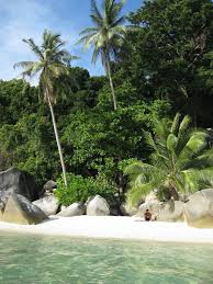 Taman negara is a paradise for the adventurous, with hundreds of kilometres of trails, treks and rafting on offer; Perhentian Malaysia Perhentian Island Malaysia Travel Asia Travel