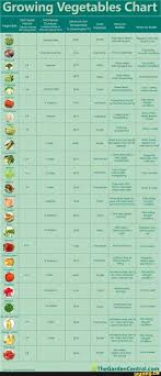 When To Grow What Vegetables Time Chart Garden Growing