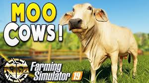 Starting A Cow Farm Milk Millions Farming Simulator 19 Gameplay Ravenport Ep 14 Youtube