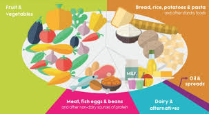 Image result for Eat regularly, control the portion size