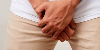 وظيفة الخصية اليسرى معلومات ثقافية