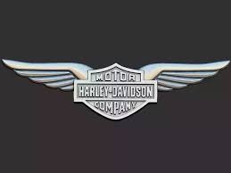 Image result for harley davidson wing