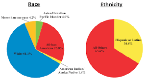 Health Center Patients By Race Ethnicity 2010 Postcard