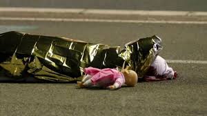 Image result for nice truck attack bodies