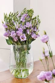Image result for eustoma lisianthus in vase