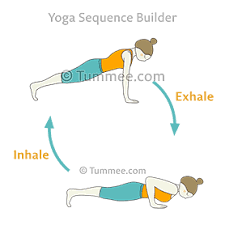 Maybe you would like to learn more about one of these? Plank Pose Four Limbed Staff Pose Flow Yoga Phalakasana Chaturanga Dandasana Vinyasa Yoga Sequences Benefits Variations And Sanskrit Pronunciation Tummee Com