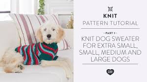 Below is the knitting pattern for the dog sweater shown on francesca (martha's dog on the right). Knit Dog Sweater For Extra Small Small Medium And Large Dogs Part 1 Of 2 Youtube
