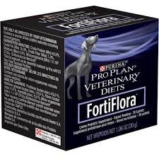 The 8 Best Probiotics For Dogs In 2021