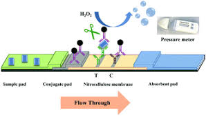 Mr johnson said lateral flow tests could help us get back to doing the things we love mostcredit a covid lateral flow test uses a swab from a patient's nose or throat to quickly determine if they are. Lateral Flow Assay With Pressure Meter Readout For Rapid Point Of Care Detection Of Disease Associated Protein Lab On A Chip Rsc Publishing