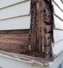 Though our melbourne building inspectors must have completed building and pest inspection training as a minimum requirement. The Importance Of Building And Pest Inspections In Melbourne