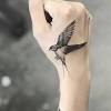 Swallow tattoos are rich with history and symbolism all over the world. 1