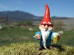 Custom Order For Jeanne Please Do Not Purchase Unless You Are Jeanne Bird Flippin Gnome And 5 Mushrooms Mixed Colors Gnomes Funny Garden Gnomes Animal Party