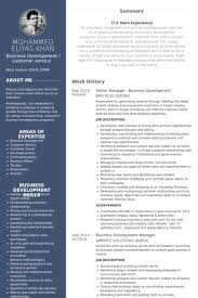 Senior Manager Business Development Resume Example Marketing Resume Resume Examples Manager Resume