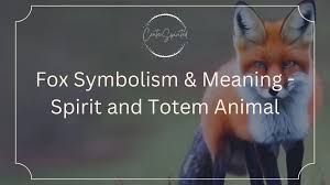Fox Symbolism - What Does It Mean When You See a Fox?