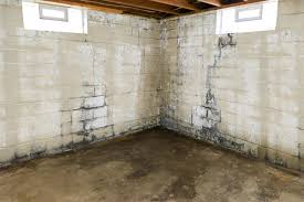 If the moisture problem is minor, digging a trench around the foundation and waterproofing exterior walls might not be necessary. Wet Basement Troubles Find Out The Problems And The Fixes Ohio Basement Systems