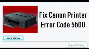 You may download and use the content solely for your by proceeding to downloading the content, you agree to be bound by the above as well as all laws and regulations applicable to your download and. Fix Printer Error Code How To Fix Error Code 5b00 For Canon G2000 Solution