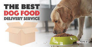 Illegal puppy imports cdc 04/2019 Choosing The Best Dog Food Delivery Service Sit Means Sit Dog Training North Houston