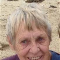 Mary Ann Perrin Obituary