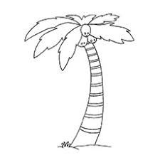 Find more family tree coloring page printable pictures from our search. Top 25 Tree Coloring Pages For Your Little Ones