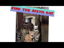 Check spelling or type a new query. Find The Sixth Cat By Kuripot King Youtube