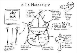 Regrowing Comment Planter Un Noyau D Avocat Dans De L Eau Noyau Avocat Avocat Planter Comment Planter