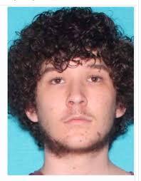 Please keep an eye out! Direct all comments/questions to the original post.  Last seen 7/28 walking down hwy 7 by 315