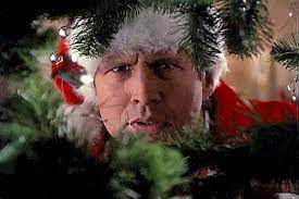Chevy chase christmas vacation squirrel! signed jersey bas witnessed #wa36236. Pin By Patrice Hansford On Holidays Christmas Vacation Movie Christmas Vacation Christmas Vacation Meme