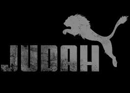 Lamb of god doas0078 options. Lamb Of God Hd Wallpaper Download