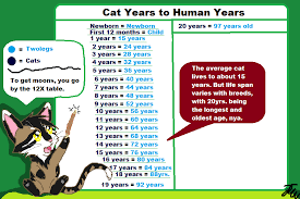 46 Expository 14 Years In Cat Years