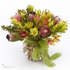Katy, tx yellow pages, get phone numbers, business information, videos, local products, brands and services, website links and bbb accredited businesses in many areas. Protea Paradise Scent Violet Flowers And Gifts Houston Tx