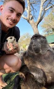 Jerry the meerkat is always asking for attention 🥰 #animals #animallover  #wildlife #cuteanimals