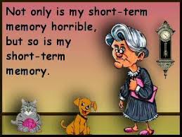 Not Only Is My Short Term Memory Horrible But So Is My Short Term Memory Boomer Seniors Naughty Humor Short Term Memory Senior Humor
