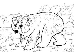 Ausmalbilder meerschweinchen malvorlagen kostenlos zum ausdrucken from www.supercoloring.com. Ausmalbilder Wilde Tiere 70 Malvorlagen Zum Kostenlosen Drucken