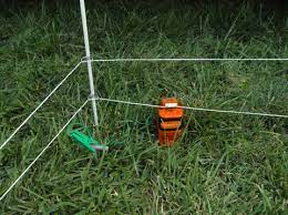 An electric fence is a neat, highly efficient way to keep livestock where they belong. Gallagher Landscape Garden Flower Bed Protection Kit Electric Fence Gallagher Electric Fencing From Valley Farm Supply