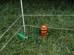 Pro animals electric fencing controller electric fence energizer moulde 10km kit. Gallagher Landscape Garden Flower Bed Protection Kit Electric Fence Gallagher Electric Fencing From Valley Farm Supply