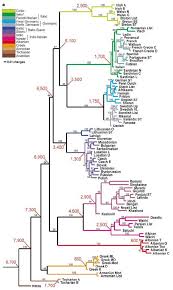 Start your first free lesson now. Pin On Cigar Coffee And Men Stuff