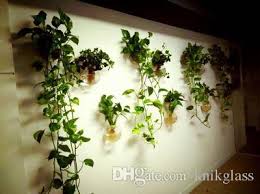 We did not find results for: 2021 Glass Wall Terrariums Hanging Wall Planter Vase Wall Bowl Indoor Plant On Wall Decor House Ornament From Knikglass 17 19 Dhgate Com